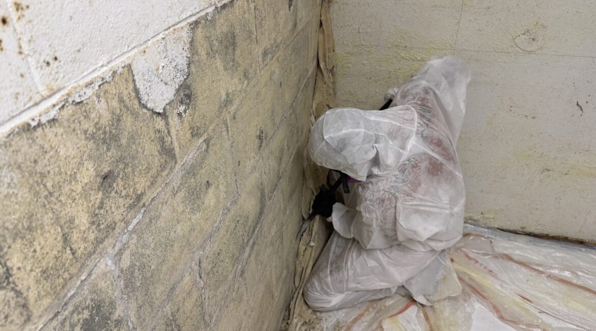 ディエゴガルシア島 米海軍基地 鉛含有塗料(LBP)除去工事